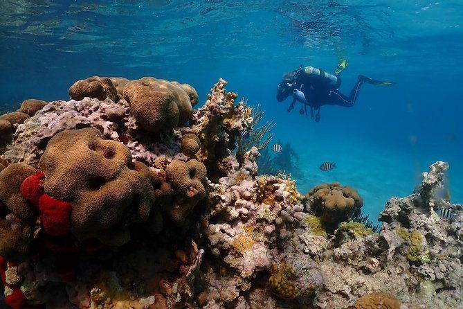 culebra-snorkeling-day-experience