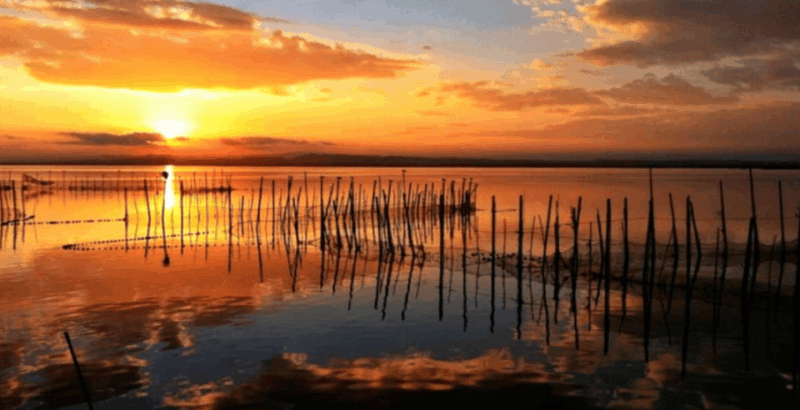 cullera-history-beach-and-the-boat-trip-to-the-albufera