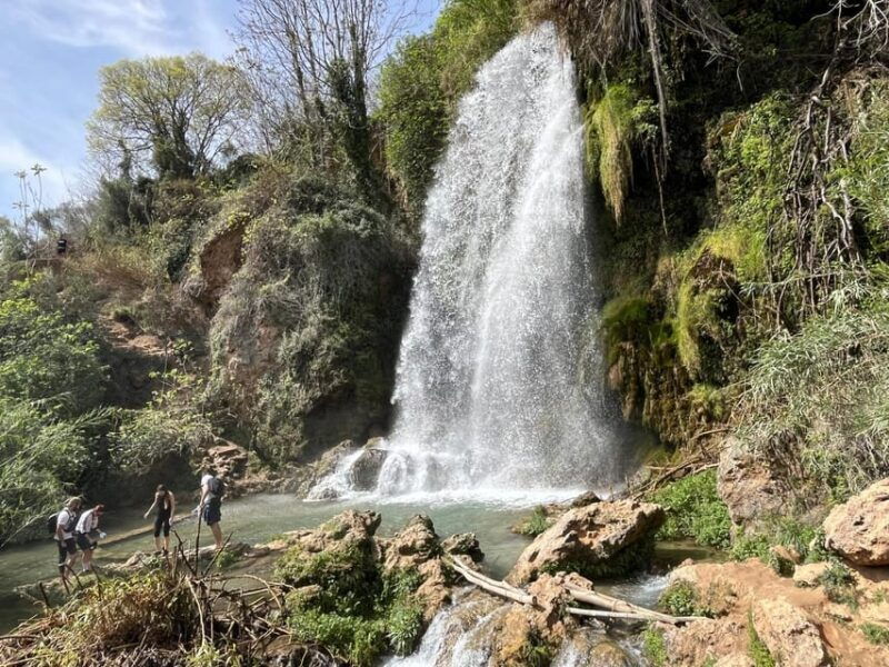 cullera-history-beach-and-the-boat-trip-to-the-albufera