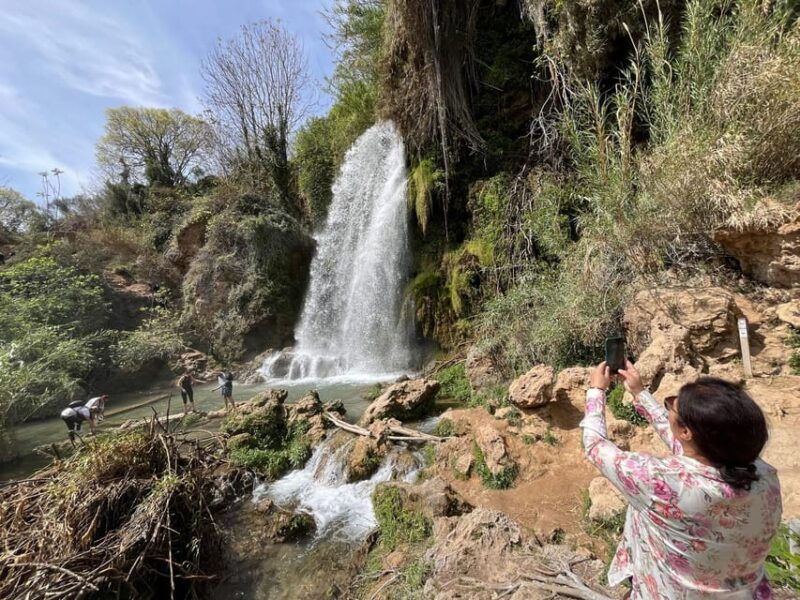 cullera-history-beach-and-the-boat-trip-to-the-albufera