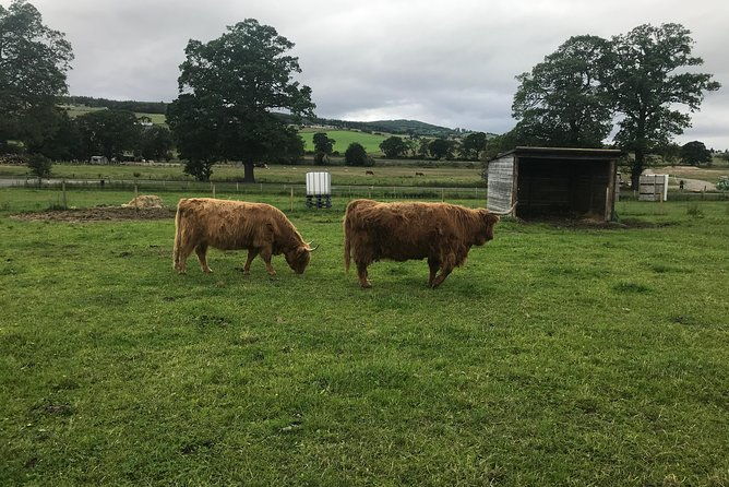 culloden-battlefield-clava-cairns-and-loch-ness-urquhart-castle