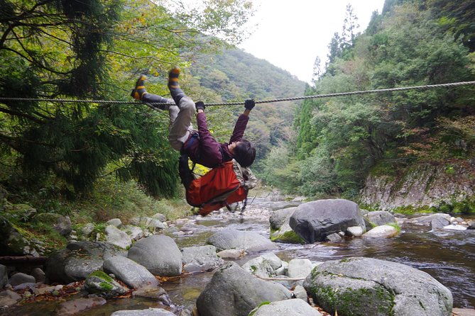 cultivate-organic-wasabi