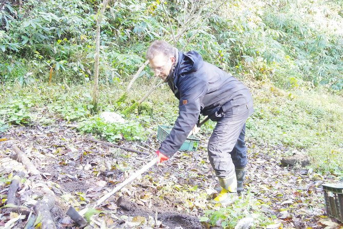 cultivate-organic-wasabi