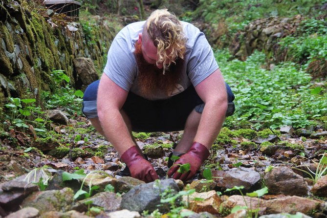 cultivate-organic-wasabi