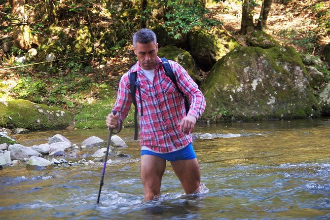 cultivate-organic-wasabi