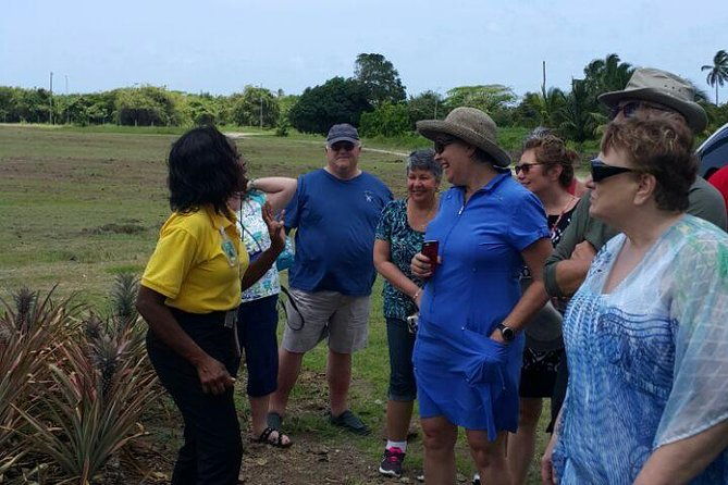 cultural-and-historical-home-tour-in-the-antiguan-experience
