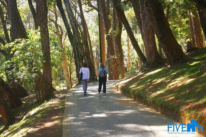 Cultural and Wildlife Expedition  10 Days - Who This Tour Is Best For