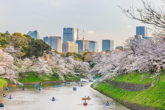 Cultural Day Trip Experience in Tokyo - An In-Depth Look at the Itinerary: What to Expect