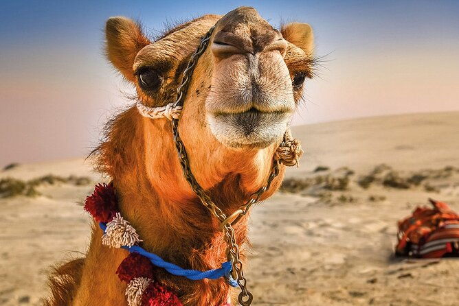 cultural-excursion-for-one-day-to-tangier-with-ferry-included