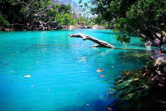 Cultural Experience & Blue Lagoon with Yumi Tours - Key Points