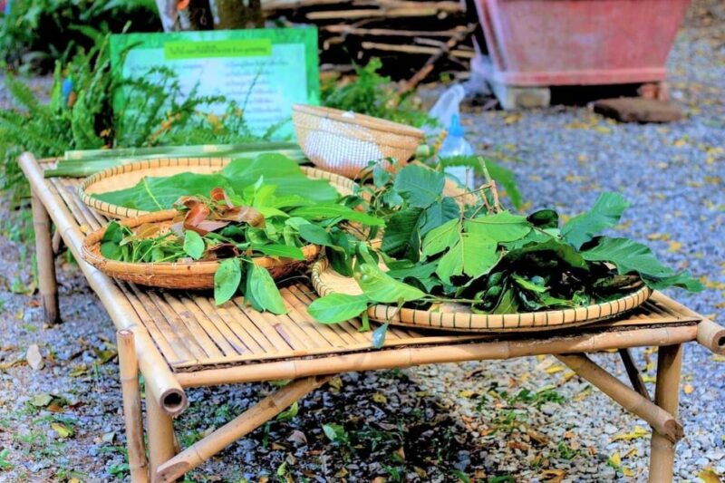 cultural-immersion-thai-cooking-rice-farming-eco-printing