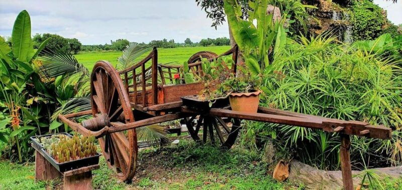 cultural-immersion-thai-cooking-rice-farming-eco-printing