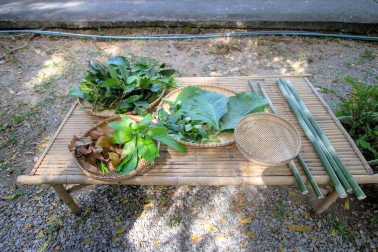 cultural-immersion-thai-cooking-rice-farming-eco-printing