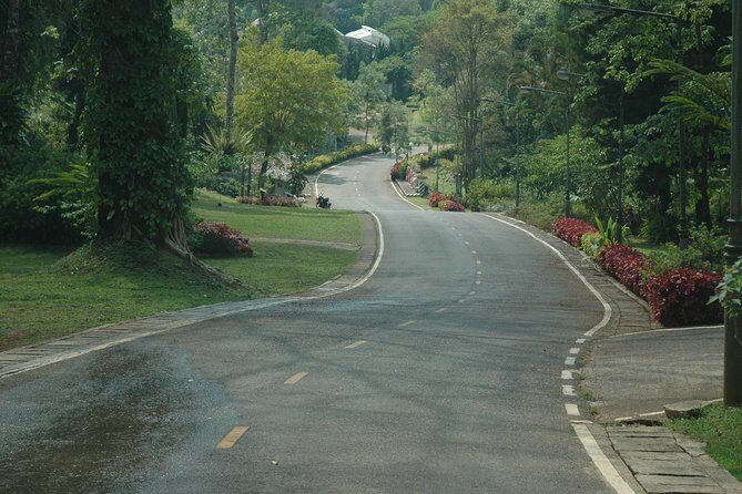 Cultural & Nature Tour: KMT Village, Pha Sua Waterfall, Pang Oung - Final Thoughts