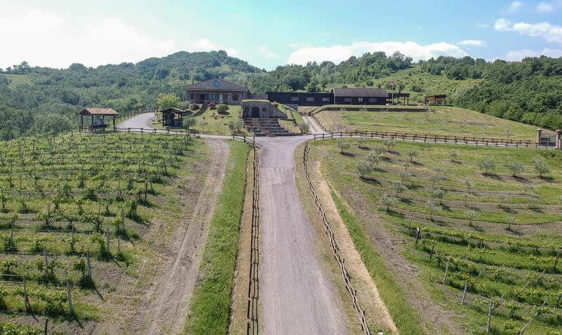 Cultural Tasting: 5 glasses with 5 food pairings - A Closer Look at the Experience