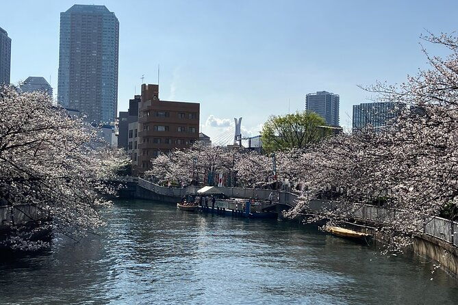 cultural-temple-tour-with-a-real-local-in-calm-east-tokyo