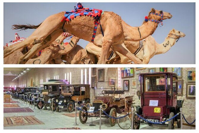 Cultural & Thrills: Sheikh Faisal Museum & Camel Race Adventure - An Authentic Slice of Doha’s Culture and Excitement