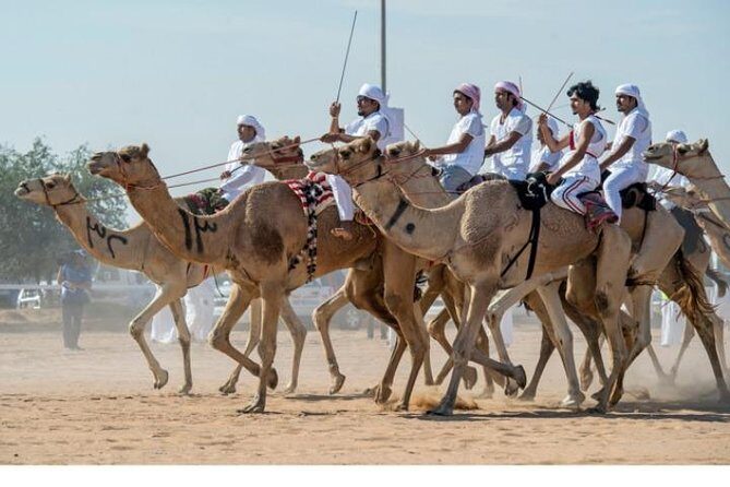 Cultural & Thrills: Sheikh Faisal Museum & Camel Race Adventure - Final Thoughts