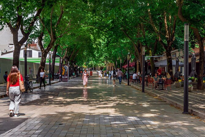 cultural-tour-in-tirana-including-house-of-leaves