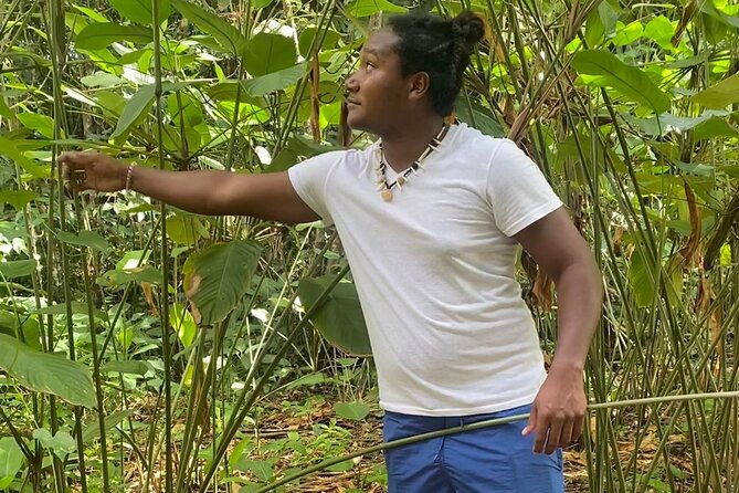 cultural-tours-of-kalinago-territory-of-dominica-with-past-chief