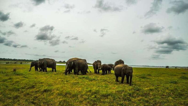 cultural-triangle-5-days-4-nights-in-sri-lanka