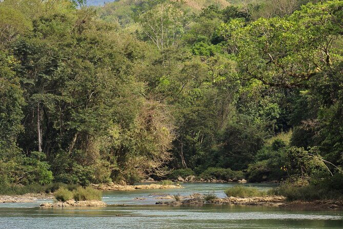 cultural-walk-and-natural-beauty-near-semuc-champey