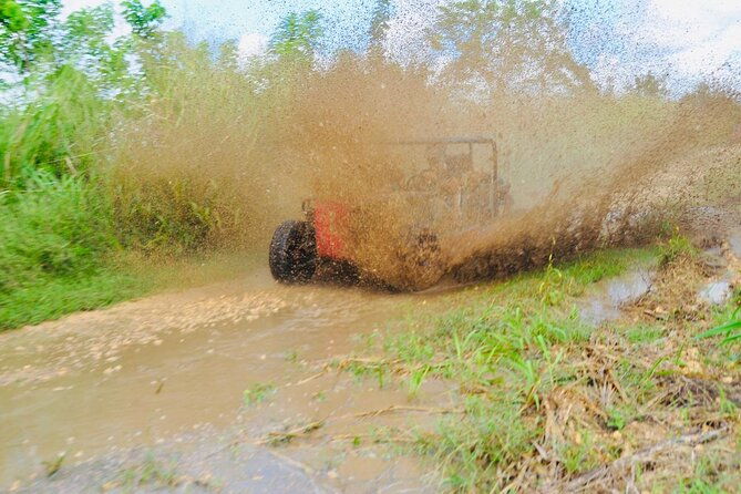 cumayasa-private-buggies-tour-from-santo-domingo