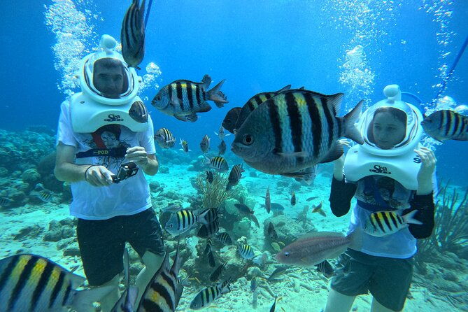 curacao-guided-underwater-walking-tour-no-swimming-skills-needed