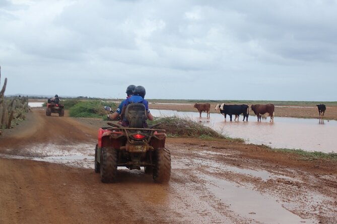 curacao-half-day-atv-east-adventure-tour