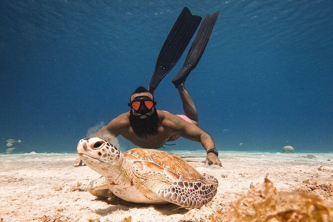 curacao-seabob-in-playa-piskado-adventure-with-sea-turtles