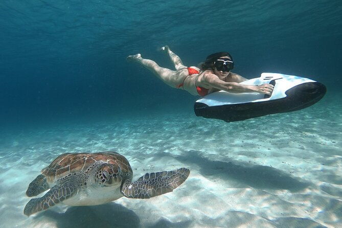 curacao-seabob-in-playa-piskado-adventure-with-sea-turtles