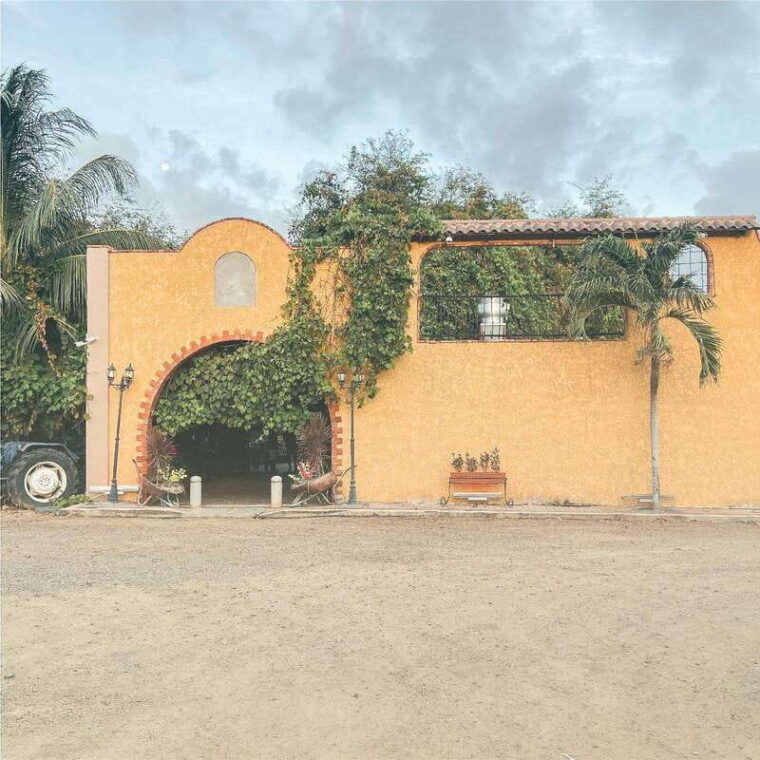 curacao-the-olivia-hacienda