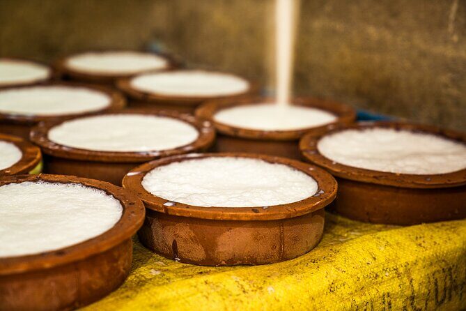 Curd Processing Experience from Tissamaharama - An In-Depth Look at the Curd Processing Tour