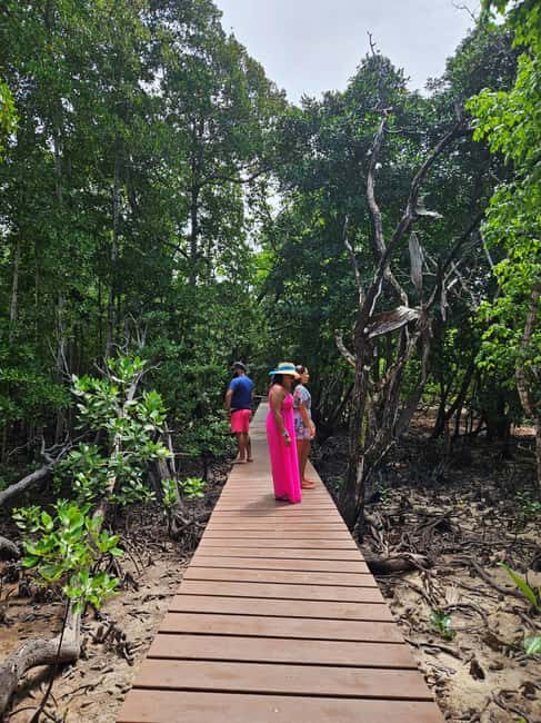 "Curieuse and St-Pierre Island Adventure: with Creole, BBQ - An In-Depth Look at the Tour Experience