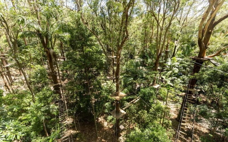 Currumbin: Treetop Challenge Adventure Park - Currumbin: Treetop Challenge Adventure Park – An In-Depth Review