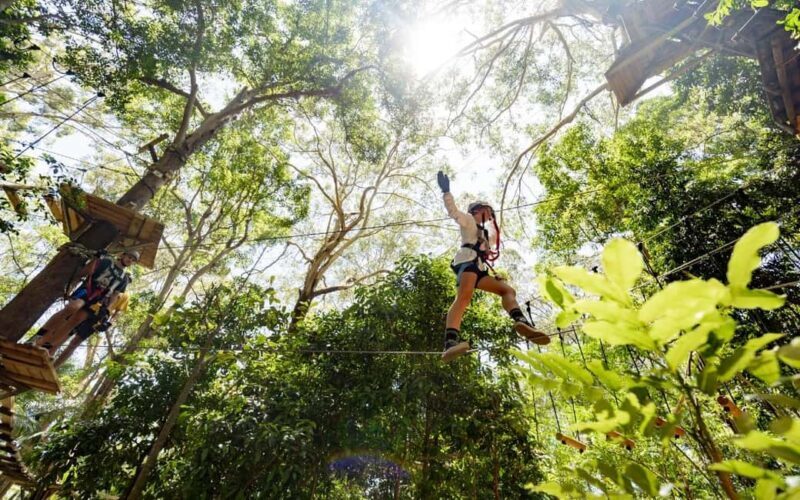 Currumbin: Treetop Challenge Adventure Park - Practical Tips for Your Visit