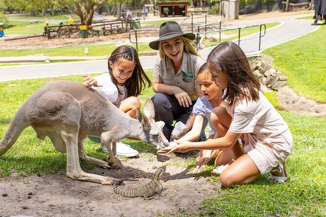Currumbin Wildlife Sanctuary & Burleigh Heads Private Tours - Why Choose This Tour?