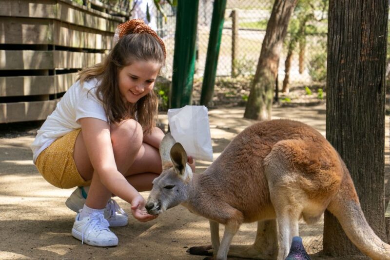 Currumbin Wildlife Sanctuary Entry Ticket - Key Points