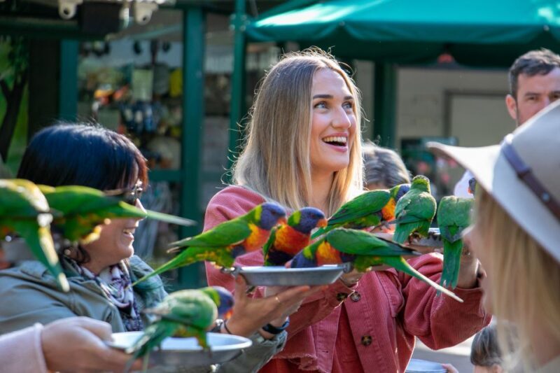 Currumbin Wildlife Sanctuary Entry Ticket - Who Will Love This Sanctuary?