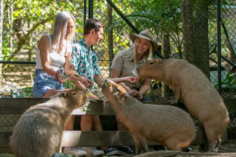 Currumbin Wildlife Sanctuary Entry Ticket - Final Thoughts