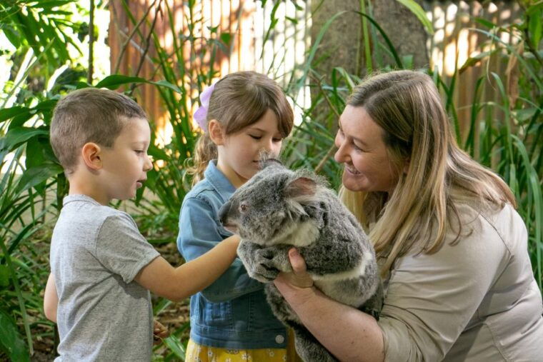 currumbin-wildlife-sanctuary-entry-ticket