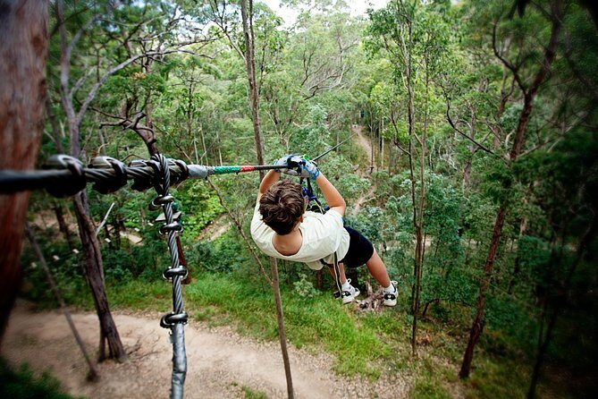 Currumbin Wildlife Sanctuary General Entry Ticket - The Bottom Line