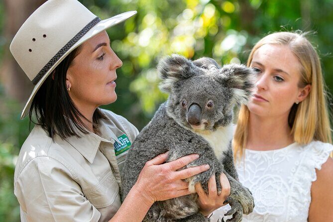 Currumbin Wildlife Sanctuary General Entry Ticket - FAQs