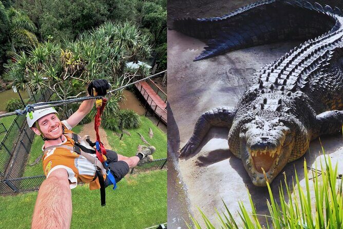 Currumbin Wildlife Sanctuary Pass + The Treetop Challenge - Authentic Insights from Visitors
