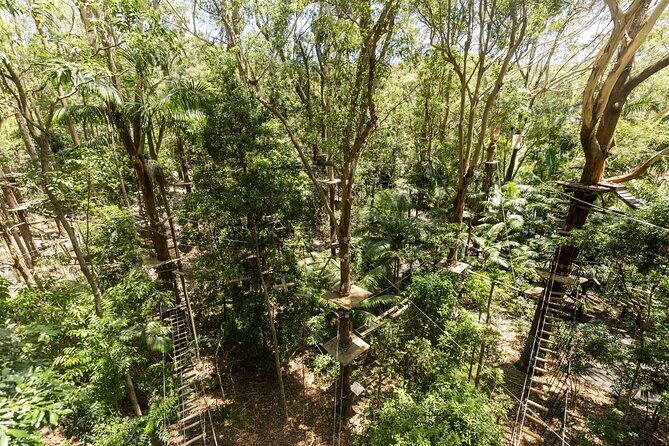 Currumbin Wildlife Sanctuary Pass + The Treetop Challenge - The Value of the Experience