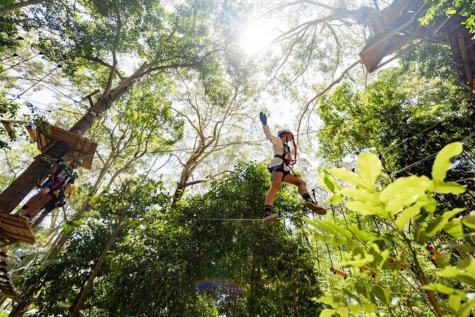 Currumbin Wildlife Sanctuary Pass + The Treetop Challenge - Who Is This Tour Best For?