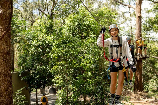 Currumbin Wildlife Sanctuary Pass + The Treetop Challenge - Final Thoughts
