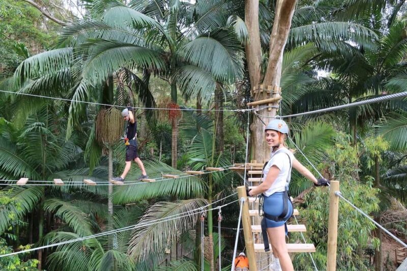 Currumbin Wildlife Sanctuary & TreeTop Challenge Combo - Why the Wildlife Experience Matters