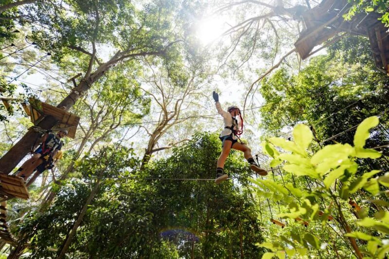 Currumbin Wildlife Sanctuary & TreeTop Challenge Combo - Who Will Enjoy This Experience?