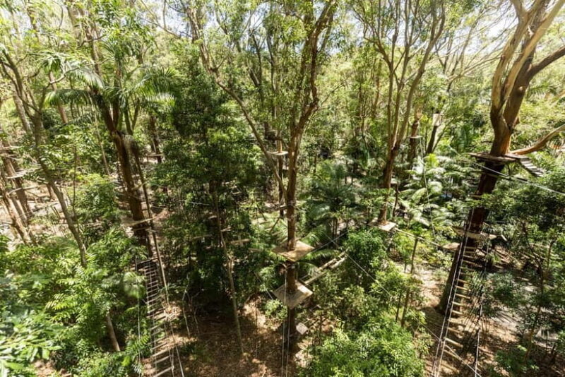 Currumbin Wildlife Sanctuary & TreeTop Challenge Combo - FAQs